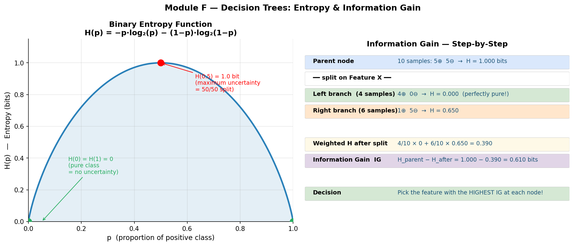 Entropy curve + Information Gain worked example