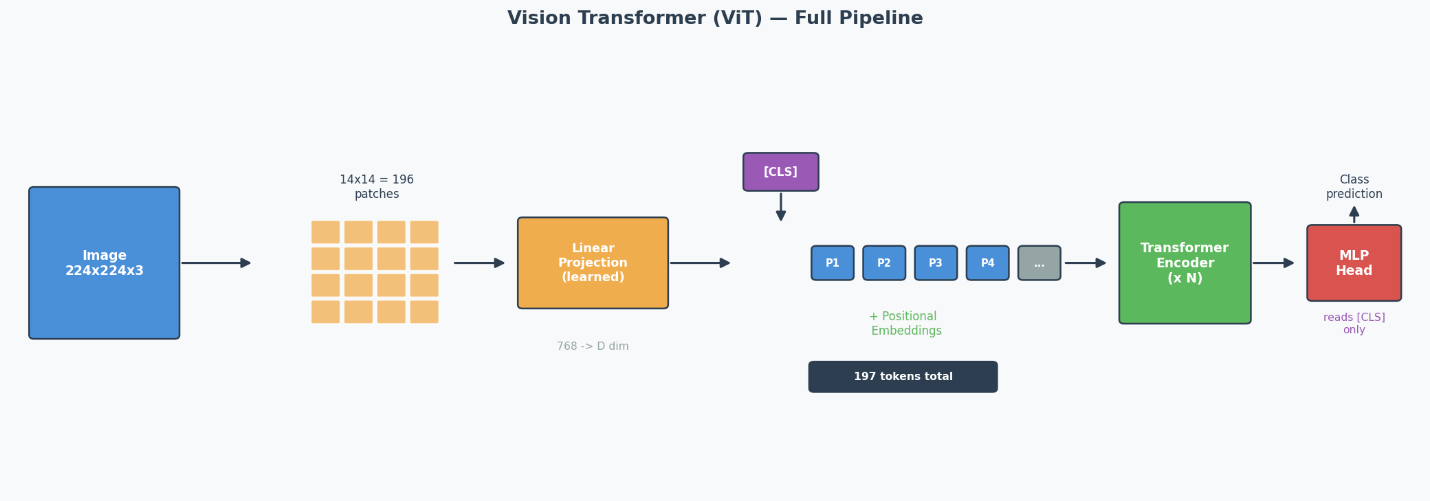 ViT Pipeline